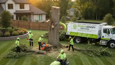 Professional lawn and tree service crew maintaining yard in Cincinnati, OH