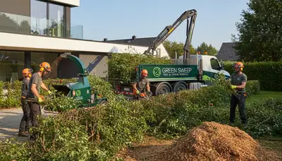 Professional shrub removal service in Cincinnati, OH clearing overgrown bushes and landscaping