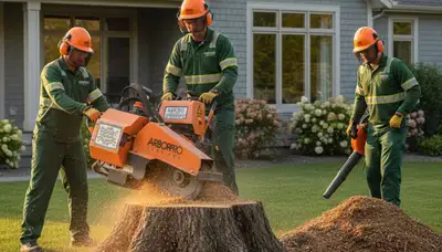 Arborist performing professional stump grinding on hillside yard in Cincinnati, OH